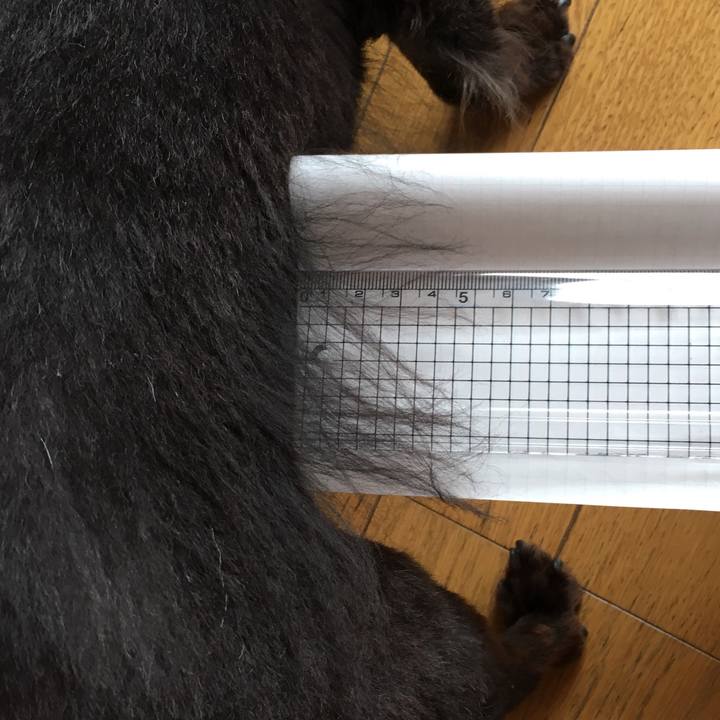 6e67680d d1a9 4090 8ba6 7c2dce9499cf 1529794203566