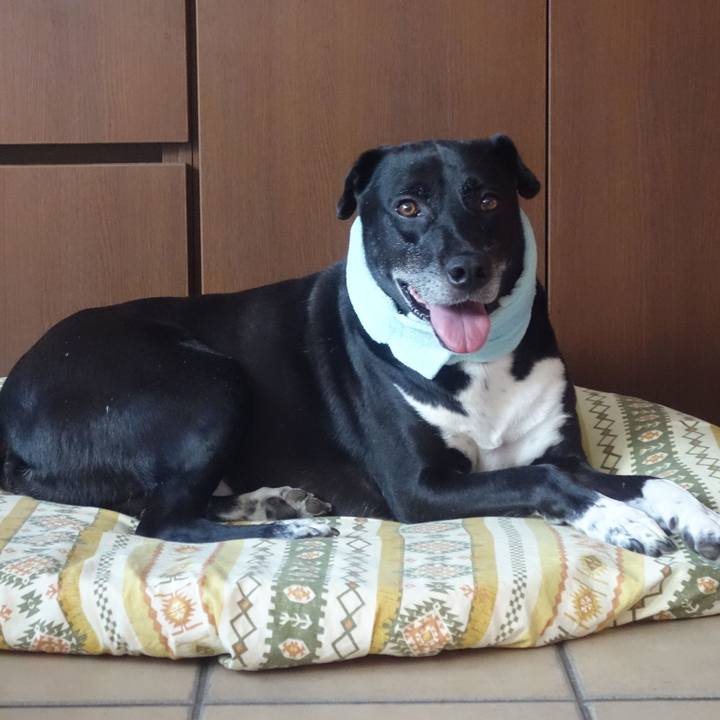 6e676d83 b1e1 4a7c 9d77 506c3dd37323 1693010433385