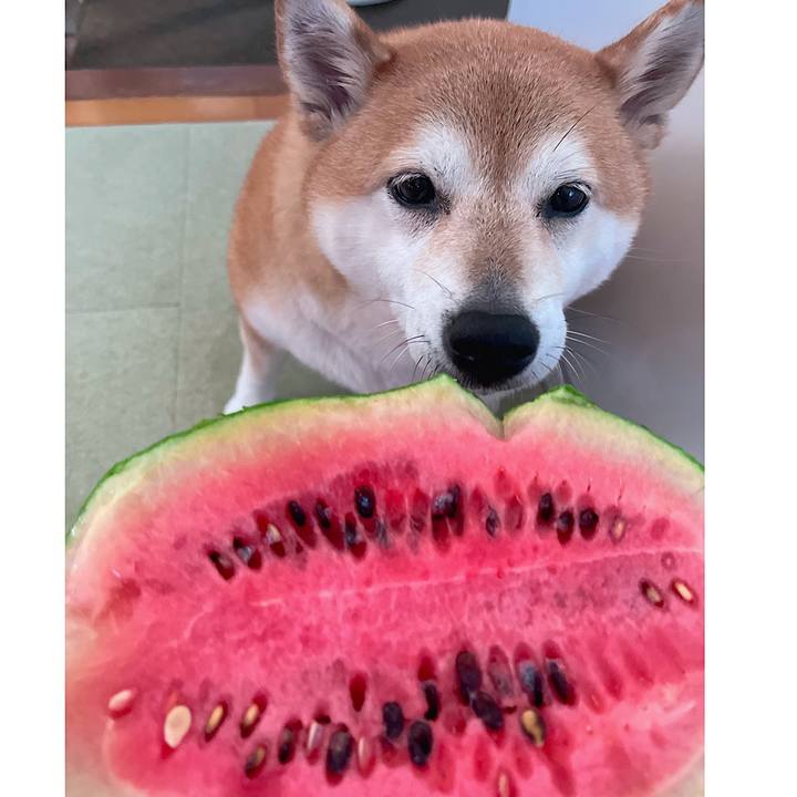 6e6789d7 d70c 49ec a26a 3ce5c009c8af 1692234422076