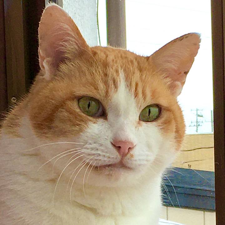 6e67ac97 3ae3 4da1 853b 5ba5406537ff 1590293982128