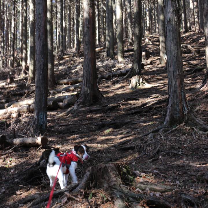 6e67b9f4 3057 4b58 8052 8ad99b04b5a5 1518862827247