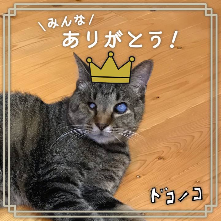 6e67c42c 33c6 49a6 a93b 4a2c570fd2ba 1623646917986