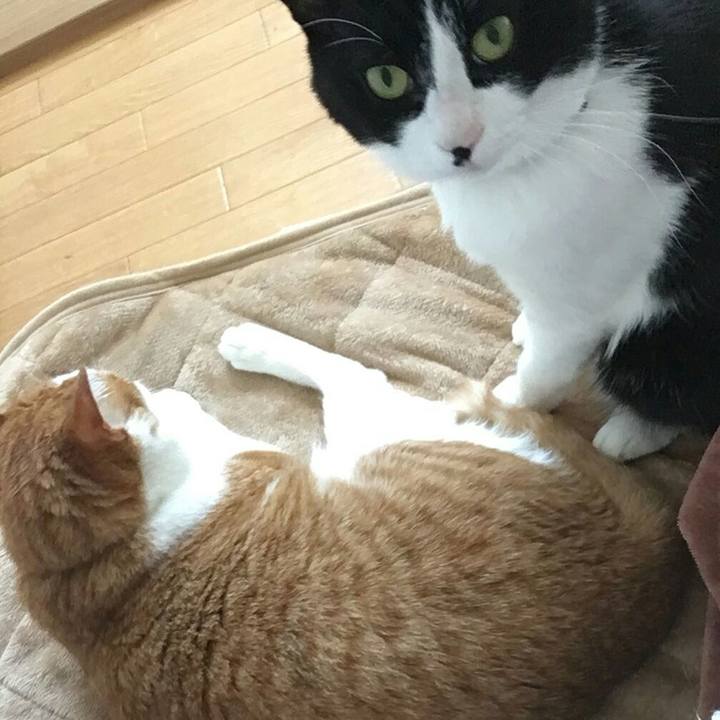 6e67d51b d675 4764 b658 1f8578d19ca0 1513989784343