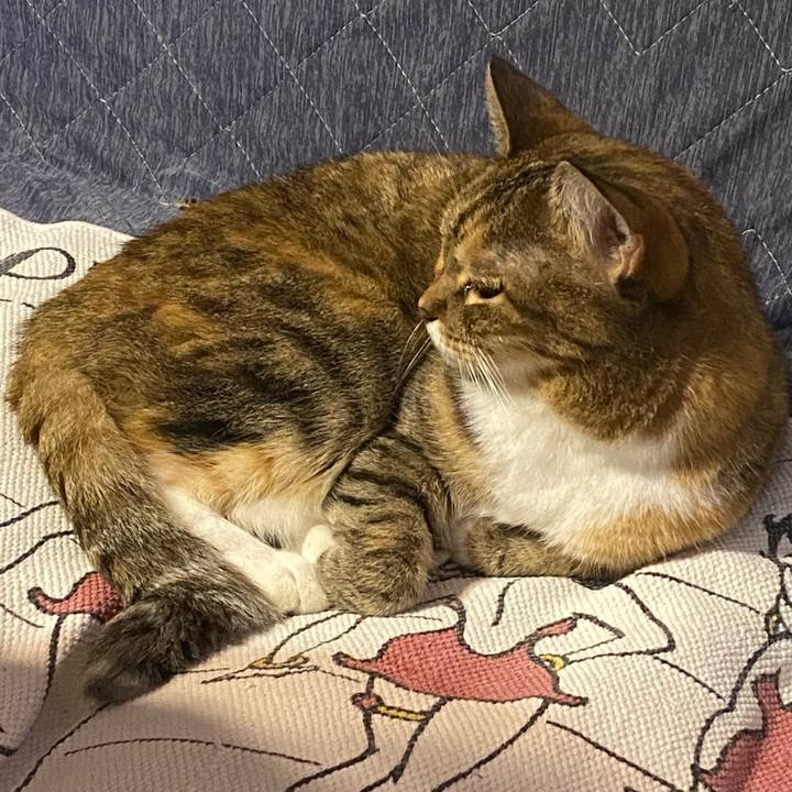 6e67e516 c219 4752 b692 0ea22c76f111 1695471218667