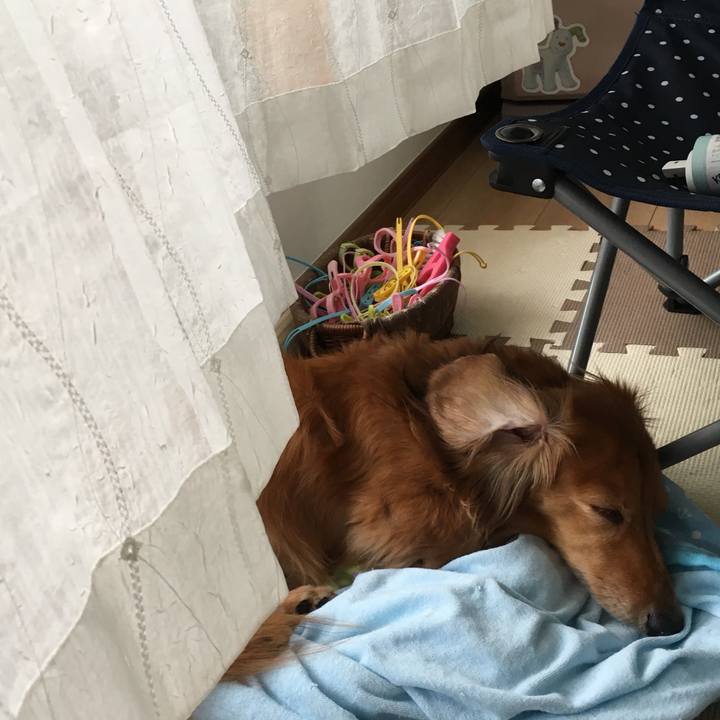 6e67ea76 9002 4902 b42e 3c4c0b3f5ed2 1559381045007