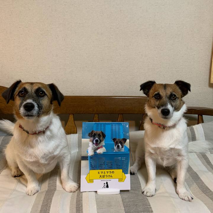 6e687178 f2a4 4976 980c 89831c14549b 1625052706779