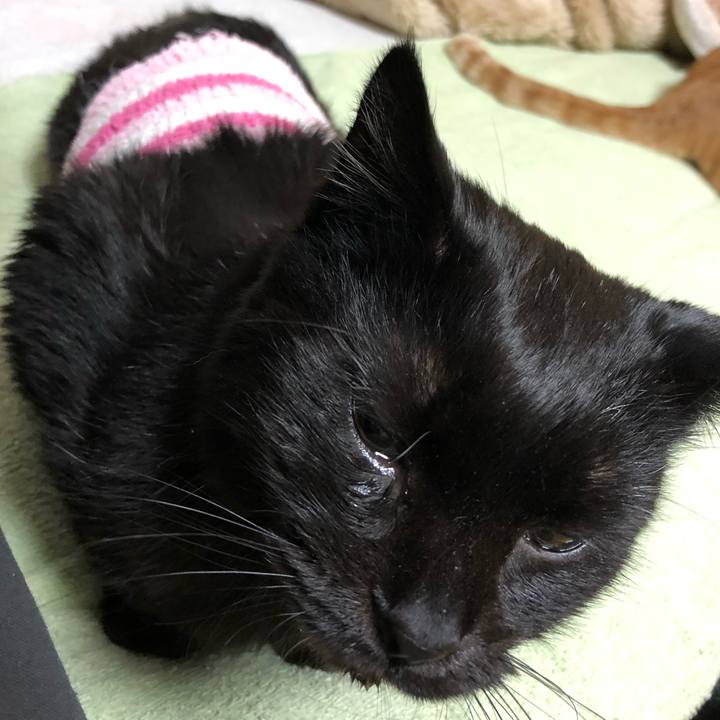 6e687670 a0fc 44ab abbc 3b7d51f4c6db 1610375903782