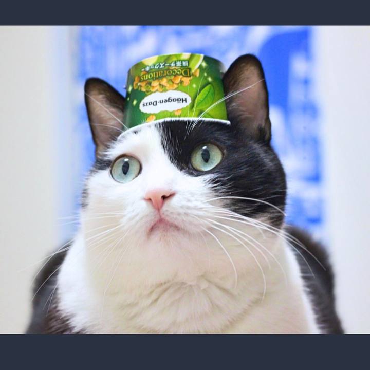 6e68bcca 07c7 419a b533 0af1361ae150 1556702737558