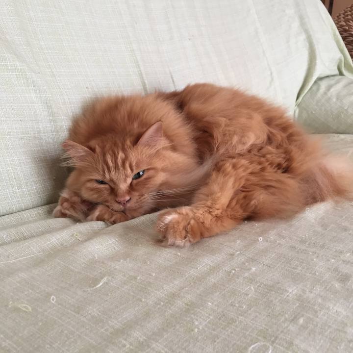 6e68f0f1 b19b 43c4 85e2 d31e6ef73a73 1528838204632