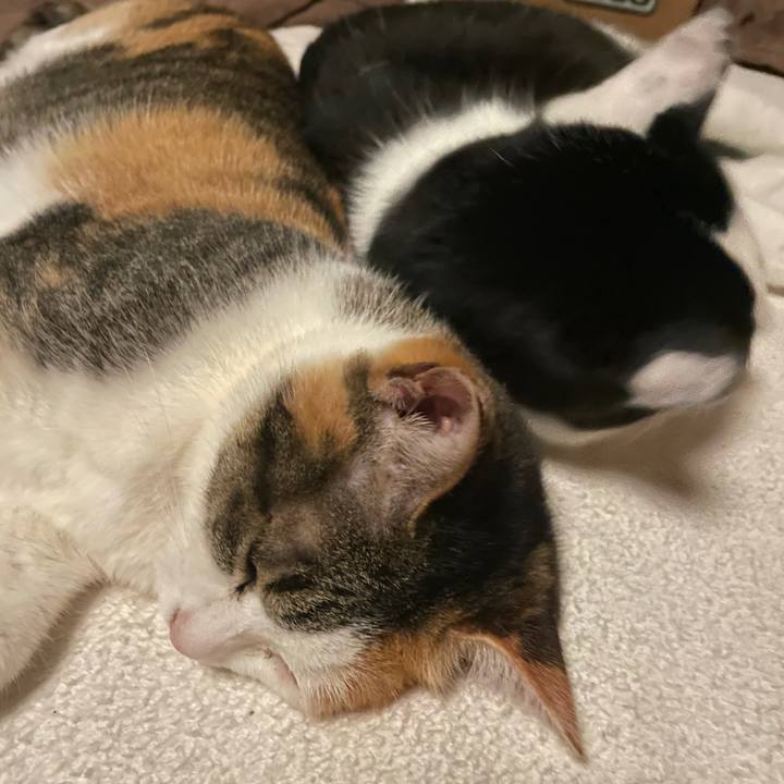 6e68f565 1d9f 49c1 ae2c 8035dc3b6deb 1645022758283