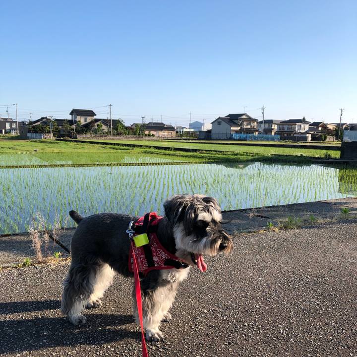 6e68ffa6 e40c 4763 aa74 f0b6f6b31a8c 1590798087757