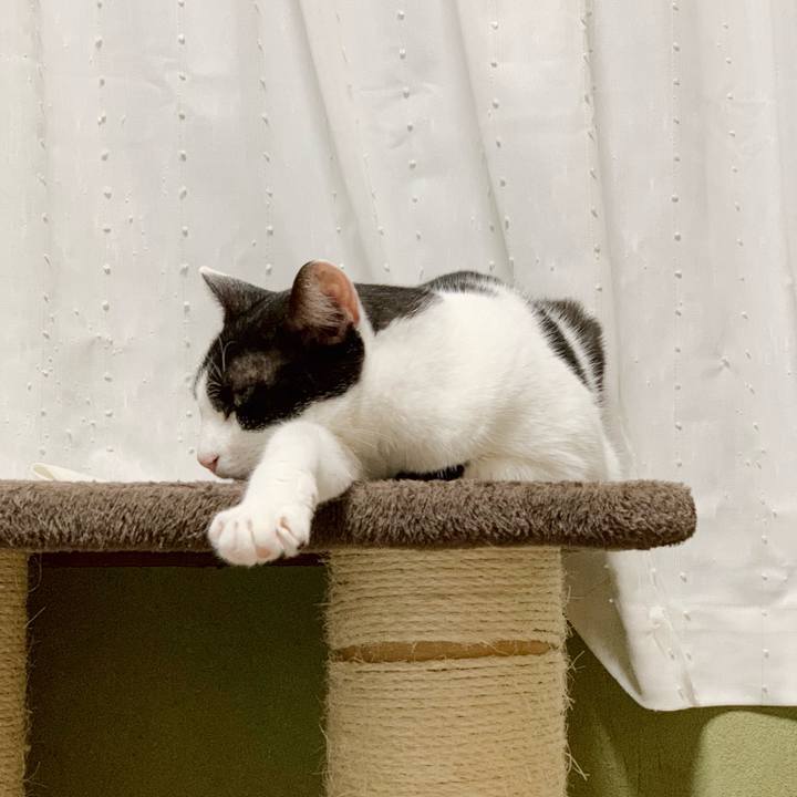 6e6917a4 f1b4 4ef4 8c72 32a0229ab1e6 1540522029629