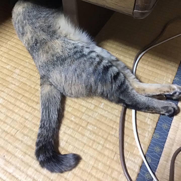 6e6953e2 fb71 42b1 a4e2 d99e86c15fcb 1582966084974