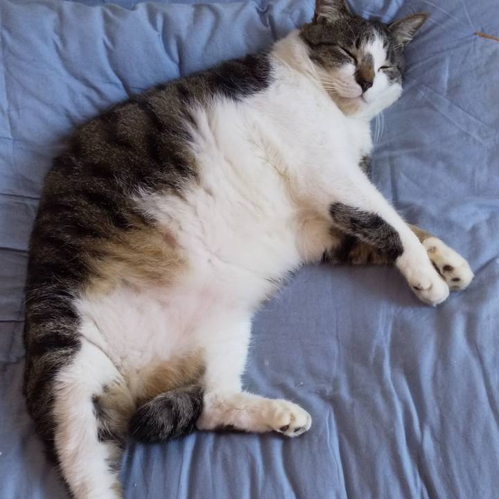 6e697669 3620 4d55 8044 b6fa4306a7a9 1653273991532