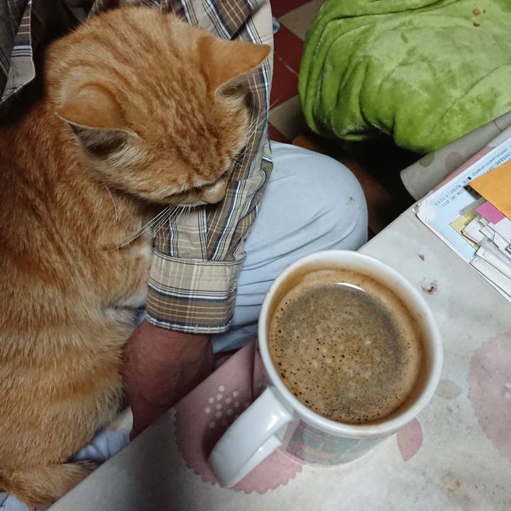 6e699a9f 0132 4d91 987d 740f31f55850 1591040476359