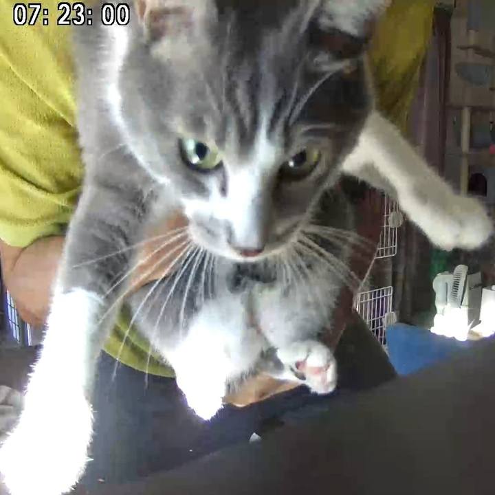 6e69acfe 7edb 4e2f b406 38c82a29eb18 1692917092878