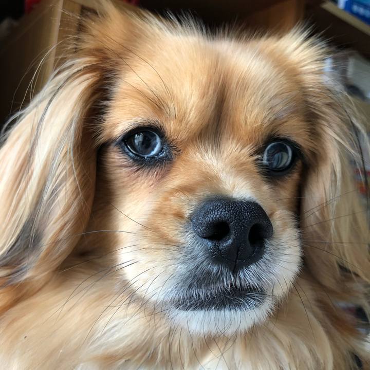 6e6a0627 350d 42f2 88ae d0f08f1a043e 1553923031247