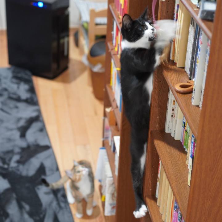 6e6a1af7 2f38 4160 9b67 a815d0bac68a 1580115696521