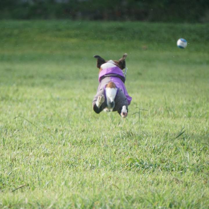 6e6a30fa bdf9 4d70 bc15 97279a343f27 1568848635751