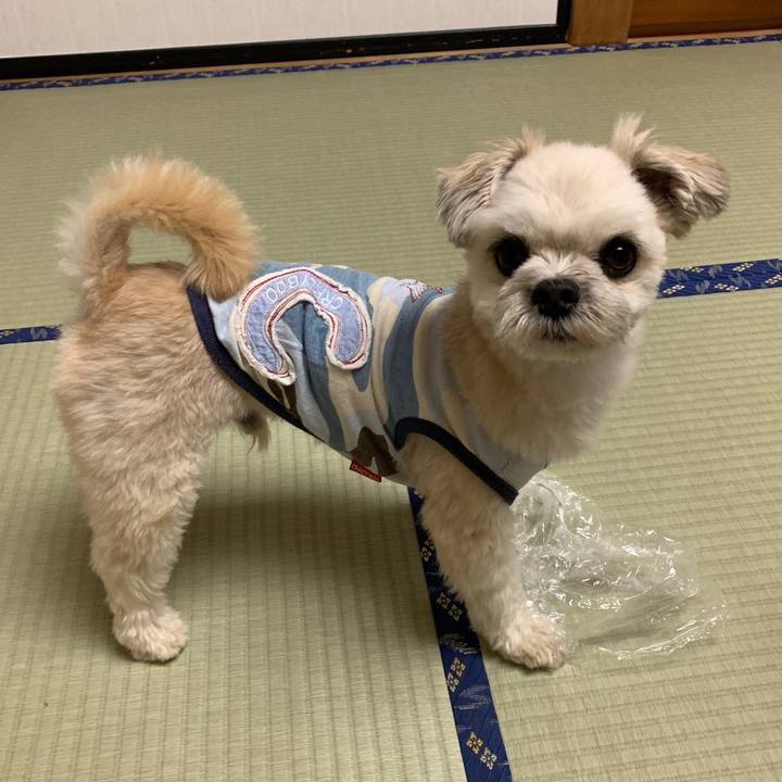 6e6a3b09 985d 49b7 bb11 e31694ceba2e 1566643371875