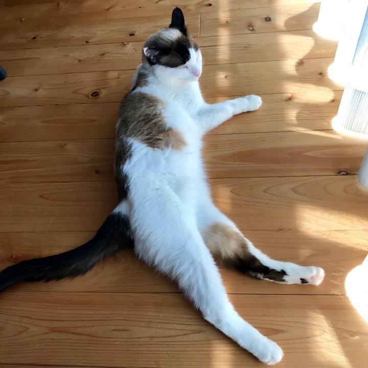 6e6a4f15 bfac 45ec b5a6 8123bd11d9bf 1554882758372