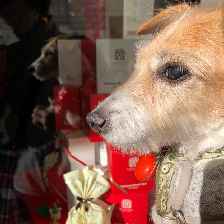 6e6a7f4a 0a54 462b bcdc 0bb5909127d8 1606117101649