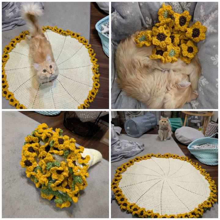 6e6a813c 1ccf 44da 8c6a 2fc62ce775da 1764835435659