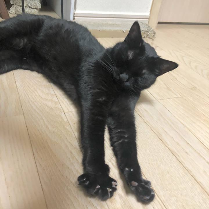 6e6a9303 a9bf 4389 918a 8844eb57fff0 1609331822802