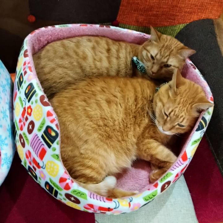 6e6ab42a b6bc 461d 8e7e 9d0190132a3d 1578653924665