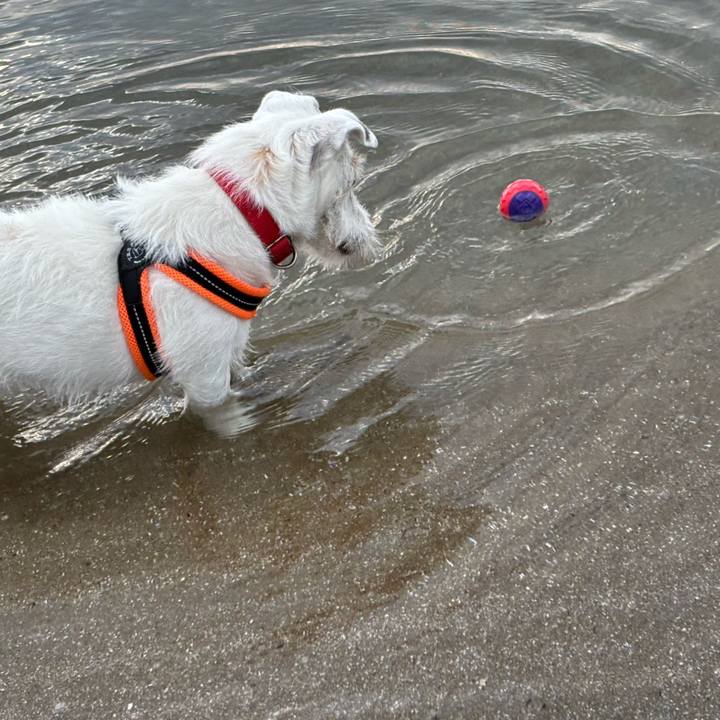 6e6ae966 cf28 4c8d 870a 56b9a507612d 1784004315701