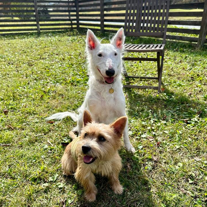 6e6b6c9c 8c8a 418f 8b01 3a13de66f5ae 1730696988933