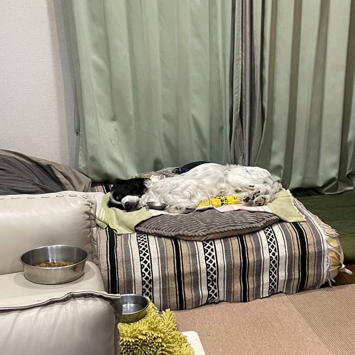 6e6b833b 76e2 464d 988b 2befc3bf1497 1775911974782