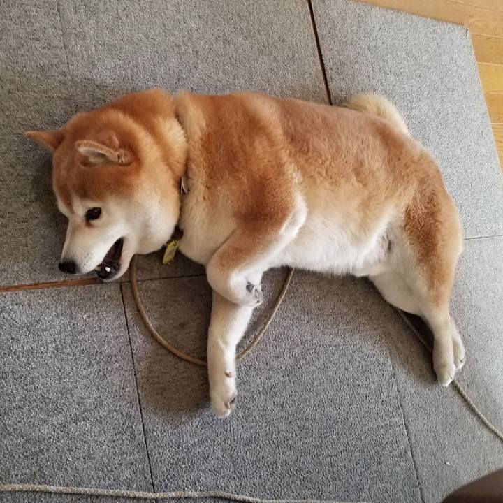 6e6bcc37 fa21 4b1a 9d10 80568f41eee1 1649822693807