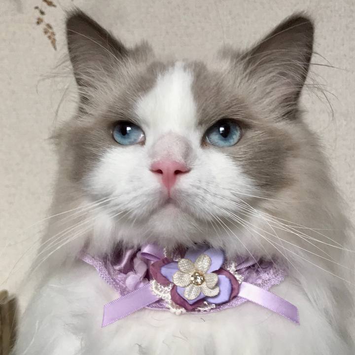 6e6c2130 8749 4302 a3e3 bbe308a4ba6b 1600294299114