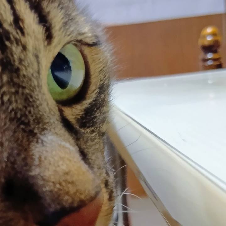 6e6c267d 609b 4da6 a06e e2b7de394439 1754436429062