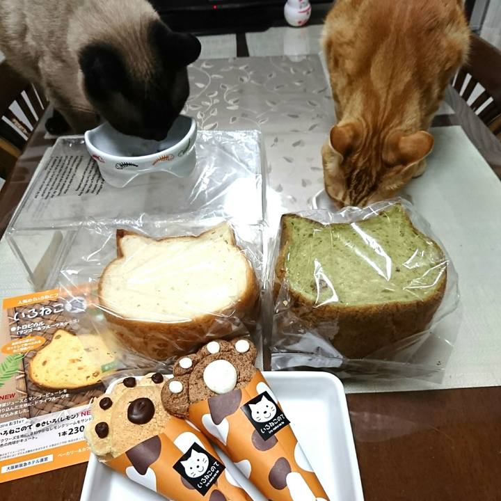 6e6c451f 5388 45a3 8c7a 2cc5224128a1 1528973153289