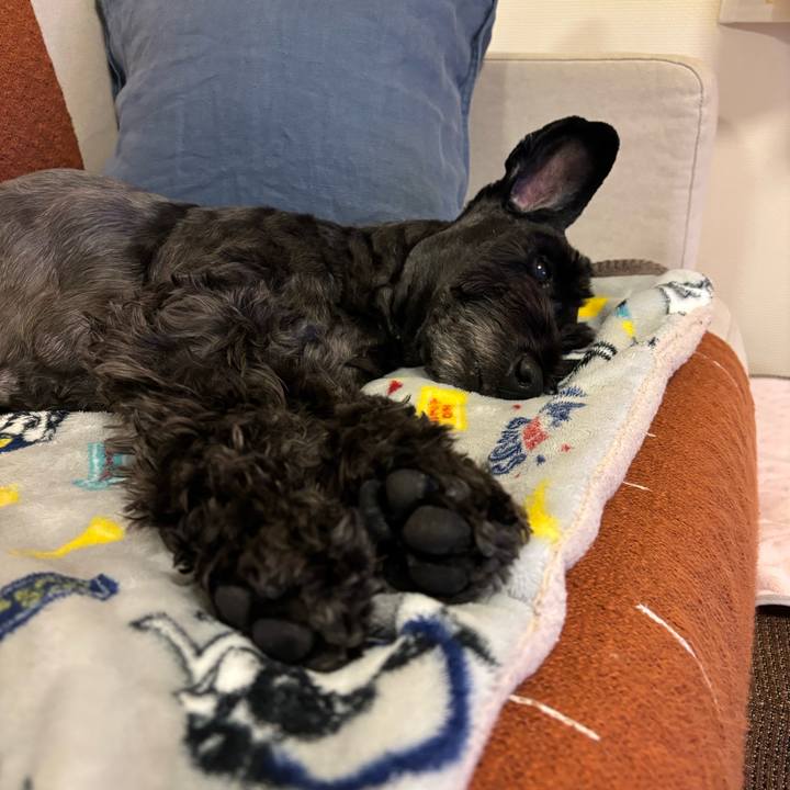 6e6c669c 524f 4901 92e1 e86f8a1bac05 1765682383471