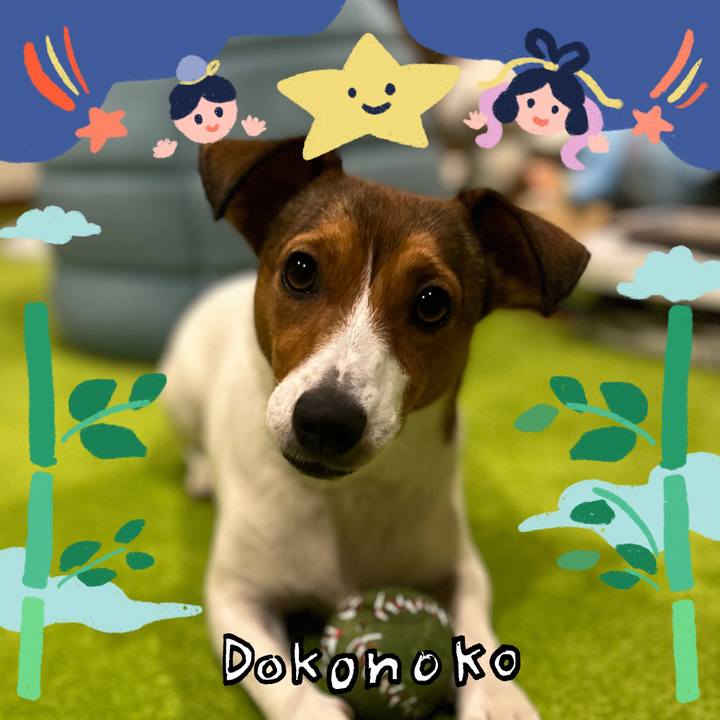 6e6c9f74 365f 488c a965 4574bef12cd8 1720961413029