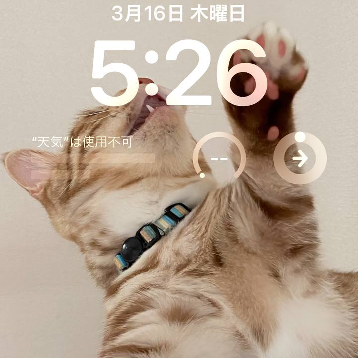 6e6cb2ab ab01 456a 90b2 66d9a1168414 1678914243497