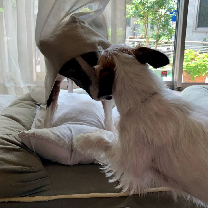 6e6cb7f4 793b 4d70 aedf d6684eb8b6c8 1625888896402