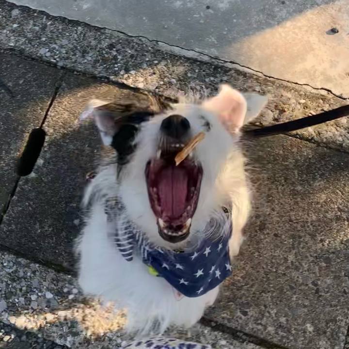 6e6cc4ba 7385 4db9 82ea b03ee064f59c 1660033885855