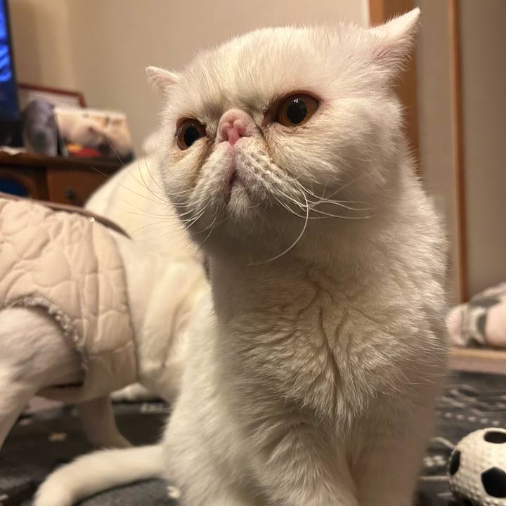 6e6cee99 5b93 4cc8 8e4a 3fcc48e70629 1767149501937