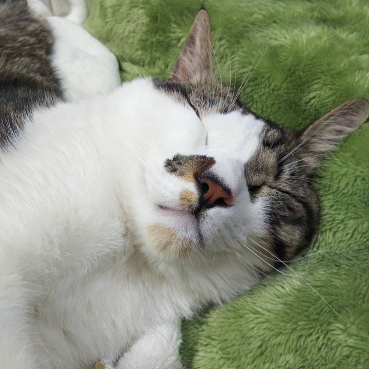 6e6d0d72 f8c8 4a6f b6fc 50dbd7f89254 1639299107394