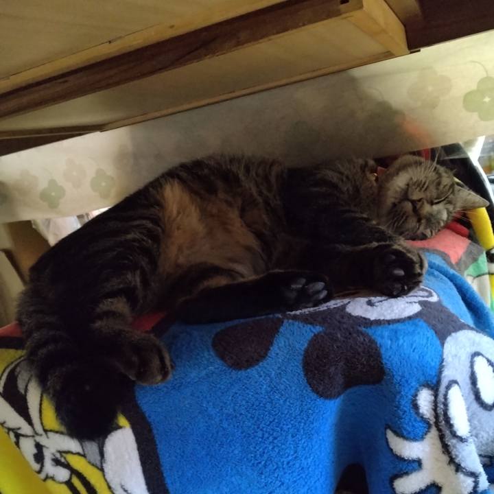 6e6d181d 8165 4d75 96e5 8a325bf8e29c 1667439390250