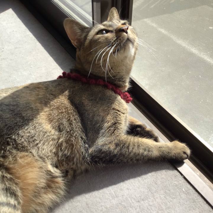 6e6d60e8 63d1 48c5 8db2 9dd0cb7a8a66 1615426128002