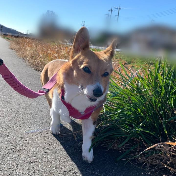 6e6d9930 b9c2 4c18 a4ae 3540d6bef86c 1703131502475