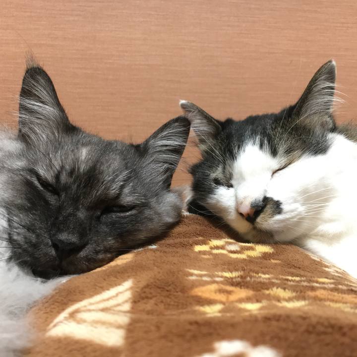 6e6dba6a b67b 4fc2 a46e 6fe24967482f 1710281474556