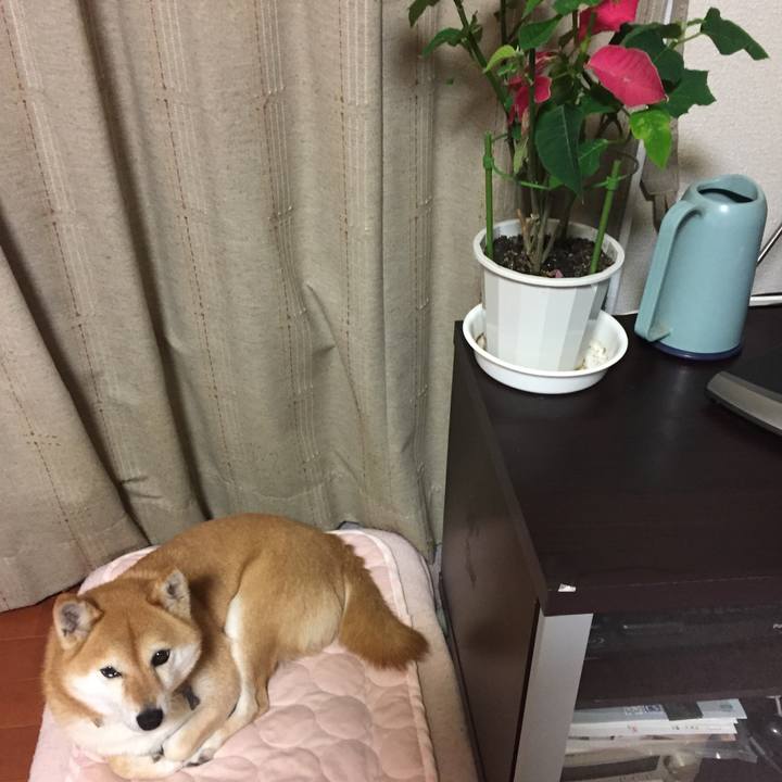 6e6dbf72 e014 4070 87d7 e7c166480878 1552557522188