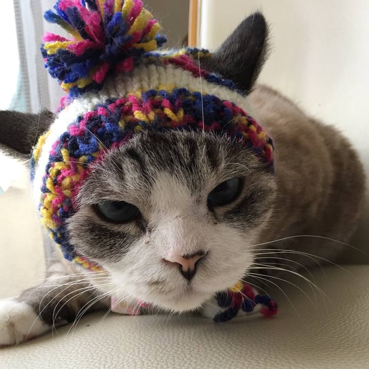 6e6dca34 c697 4e16 b35f fb898513915d 1518441997787