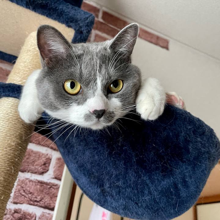 6e6ddf36 b405 4191 9726 61dde9bf23f5 1656992419670